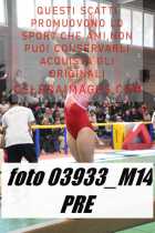 03933_M14-PRE