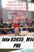 03935_M14-PRE