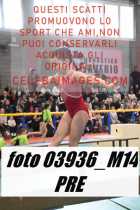 03936_M14-PRE