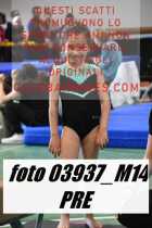 03937_M14-PRE