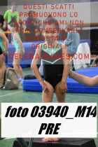 03940_M14-PRE