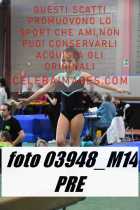 03948_M14-PRE