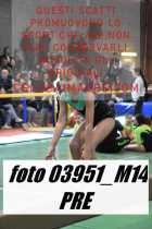 03951_M14-PRE