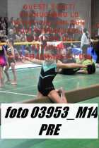 03953_M14-PRE