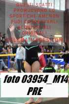 03954_M14-PRE