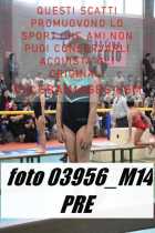 03956_M14-PRE