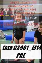 03961_M14-PRE