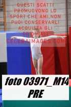 03971_M14-PRE