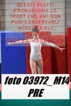 03972_M14-PRE