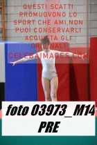 03973_M14-PRE