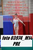 03974_M14-PRE