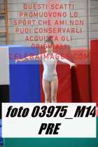 03975_M14-PRE