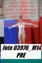 03976_M14-PRE