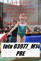 03977_M14-PRE