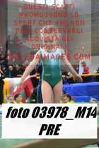03978_M14-PRE