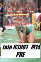 03981_M14-PRE