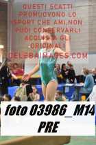 03986_M14-PRE