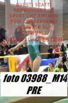 03988_M14-PRE