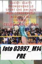 03997_M14-PRE