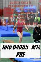 04005_M14-PRE