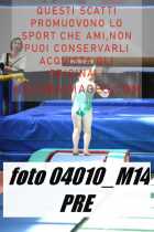 04010_M14-PRE