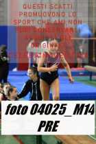 04025_M14-PRE