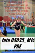 04035_M14-PRE