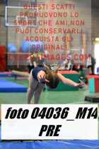 04036_M14-PRE