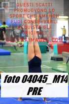 04045_M14-PRE