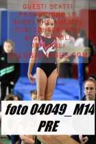 04049_M14-PRE