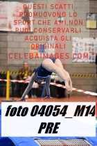 04054_M14-PRE