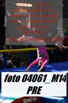 04061_M14-PRE