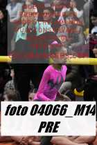 04066_M14-PRE