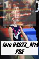 04073_M14-PRE