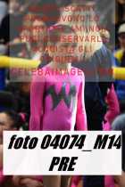 04074_M14-PRE