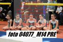 04077_M14-PRE