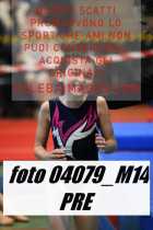 04079_M14-PRE