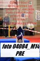 04084_M14-PRE