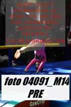 04091_M14-PRE