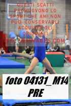 04131_M14-PRE