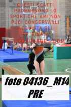 04136_M14-PRE