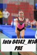 04142_M14-PRE