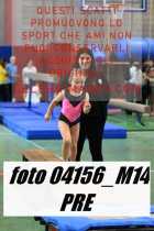 04156_M14-PRE