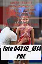 04210_M14-PRE