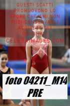 04211_M14-PRE