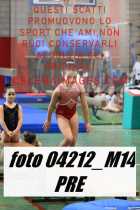 04212_M14-PRE