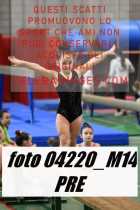 04220_M14-PRE