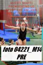 04221_M14-PRE