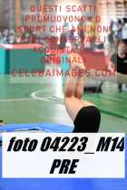 04223_M14-PRE