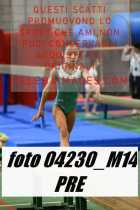 04230_M14-PRE